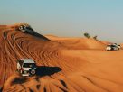 Useful Advice for Selecting the Perfect Dubai Desert Safari Tour