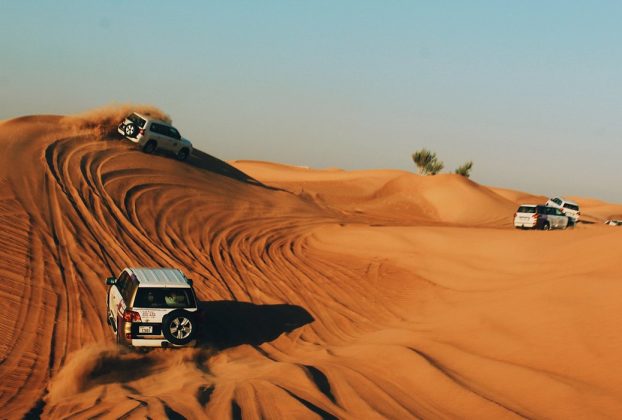 Useful Advice for Selecting the Perfect Dubai Desert Safari Tour